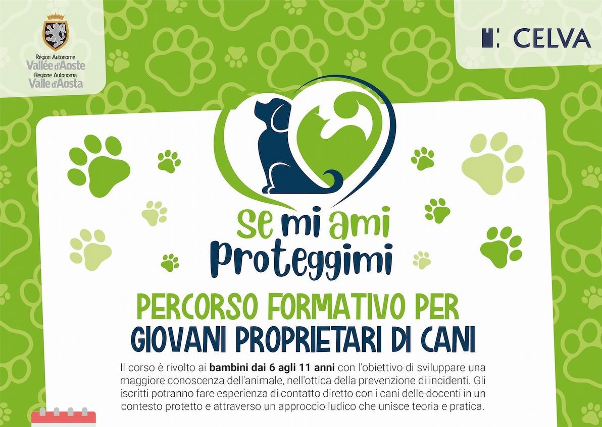 Portachiavi Per Dog Walker: Regalo Originale Con Incisione "Best Dog Walker Ever" - 3