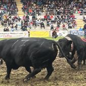 Suisse mette in fuga un'avversaria
