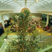 Perchè rileggere i classici? Alla Biblio di Aosta i quaderni di Ergo Sum