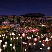 'Field of Light', Bruce Munro (1959)