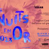 Le Notti d'Oro del cinema 'corto' arrivano a Courmayeur
