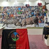 Gli Amis des Batailles de Reines alla Foire de Saint-Ours