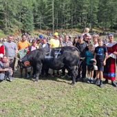 Batailles de Reines, a Cervinia Tiky domina su 84 bovine in gara