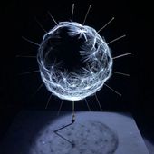 'Watage', 2017- Euglena