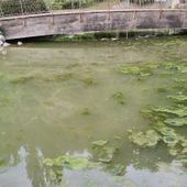 Così l'acqua dei laghetti questo pomeriggio (cliccare sull'immagine per avviare la gallery)