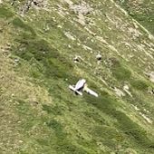 L'ultraleggero caduto vicino al rifugio Frassati L'ultraleggero caduto vicino al rifugio Frassati