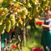 Istituzioni e agricoltori si confrontano su presente e futuro dell’agricoltura in montagna