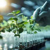 Assessorato Agricoltura e UniVdA insieme per sostegno al mondo agricolo