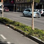 Aosta, in Consiglio comunale confronto sulla gestione delle aiuole cittadine Aosta, in Consiglio comunale confronto sulla gestione delle aiuole cittadine