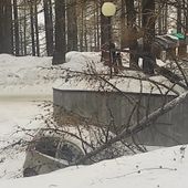 Vento forte, alberi su auto e su pista ciclabile