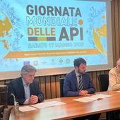 Da sn Camillo Dujany, Marco Carrel e Gabriele Scattolin
