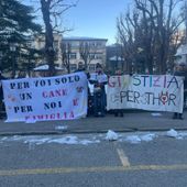 Attivisti Anpav in presidio di fronte al tribunale di Aosta Attivisti Anpav in presidio di fronte al tribunale di Aosta