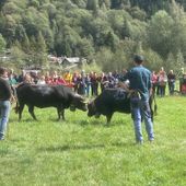 Batailles de Reines, si riprende oggi al Col de Joux