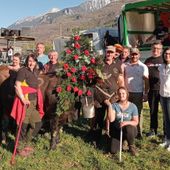 Berleun, bosquet di Prima categoria