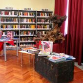 Paolo Ribet a 'L’Ocra Rossa', nuovo video della Biblioteca di Donnas Paolo Ribet a 'L’Ocra Rossa', nuovo video della Biblioteca di Donnas