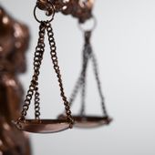 Gli animali diventano 'soggetti di diritto' Gli animali diventano 'soggetti di diritto'