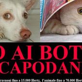 Diciamo No ai botti di Capodanno pericolosi per tutti