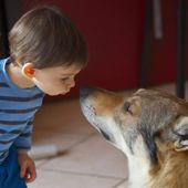 PhotoCredits: AmicaVeterinaria