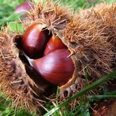 Weekend in Valle d’Aosta tra cultura, natura e tradizione