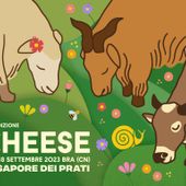 La Valle d’Aosta sarà presente a Bra alla 14esima edizione di Cheese