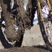 Ciclocross, Aurora Lecca vince a Aqui Terme