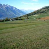 Agricoltura, approvato il primo piano di riordino fondiario