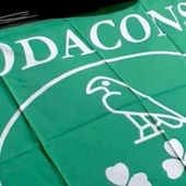 Inchiesta Casino, il Codacons si costituisce parte offesa Inchiesta Casino, il Codacons si costituisce parte offesa