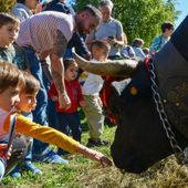 Bimbi alla scoperta del mondo agricolo; tornano gli 'Itinéraires de découverte'