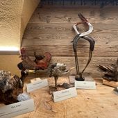 C'è anche un'altra Foire...a Maison Bandì le 'Ali nel Bosco' di Giorgio Diemoz