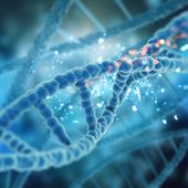 Webinar gratuito; dall’endotossiemia metabolica al declino cognitivo