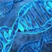 L’eDNA atmosferico; la nuova frontiera del monitoraggio ambientale