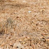 Crisi idrica, la Valle resta in affanno; perso il 20% della disponibilità d'acqua