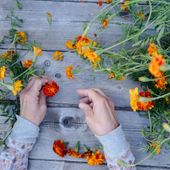 Con Studio Sun a St-Barthélemy un percorso tra erboristeria scientifica e 'magia' delle piante