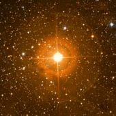 Mu Cephei (conosciuta anche come Erakis o la Stella Granata di Herschel) è una supergigante rossa nella costellazione di Cefeo. Credit: Digitized Sky Survey 2, Association of Universities for Research in Astronomy Mu Cephei (conosciuta anche come Erakis o la Stella Granata di Herschel) è una supergigante rossa nella costellazione di Cefeo. Credit: Digitized Sky Survey 2, Association of Universities for Research in Astronomy