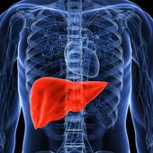 Trapianto di fegato pediatrico e adulto, novità e futuro in un convegno ad Aosta