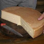 Cinque Modon d'Or per le migliori fontine d'alpeggio