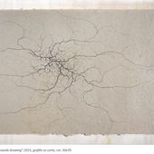 Visite guidate alle mostre 'Chicco Margaroli. Ad Atto' e 'Rolando Deval. Grounds'