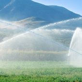 Fédération des Coopératives plaude alle nuove regole sui contributi regionali ai CMF Fédération des Coopératives plaude alle nuove regole sui contributi regionali ai CMF