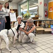 Raccolta alimentare per gatti e cani al Gros Cidac; in campo i volontari de La Zampa VdA