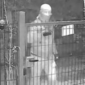 Uno degli scassinatori ripreso da una videocamera di sorveglianza privata Uno degli scassinatori ripreso da una videocamera di sorveglianza privata