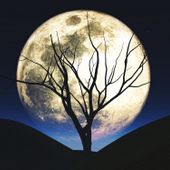 Immagine di kjpargeter su Freepik Immagine di kjpargeter su Freepik