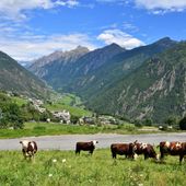 Prorogato avviso pubblico per il progetto 'Giovani valdostani in montagna'