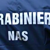 Ispezione del Nas alla mensa scolastica del quartiere Dora, la procura apre fascicolo