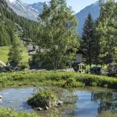 I 70 anni di Paradisia, giardino botanico del Parco nazionale Gran Paradiso