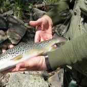 Pesca, in Valle due nuove riserve ittiche