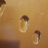 I segni delle violente martellate alla porte del condominio I segni delle violente martellate alla porte del condominio
