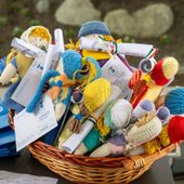 Courmayeur, Pouette dell'Unicef e un ciliegio selvatico ai nati nel 2023