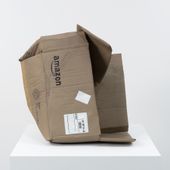 'Amazon Box', 2016 - Matt Johnson (1978)