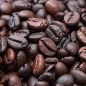 Il caffè; dai natali etiopi al bouquet da cui sbocciarono le più estese piantagioni