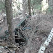 Resti umani in un bosco a Gressan; sono di un 72enne di Quart scomparso nel 2021
